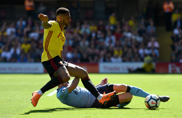 一个鲜明的 一个鲜明的